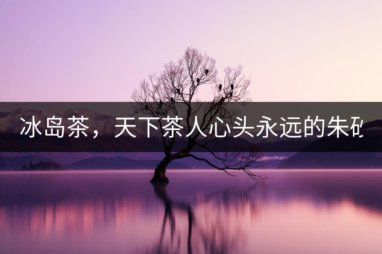 冰島茶，天下茶人心頭永遠(yuǎn)的朱砂痣！