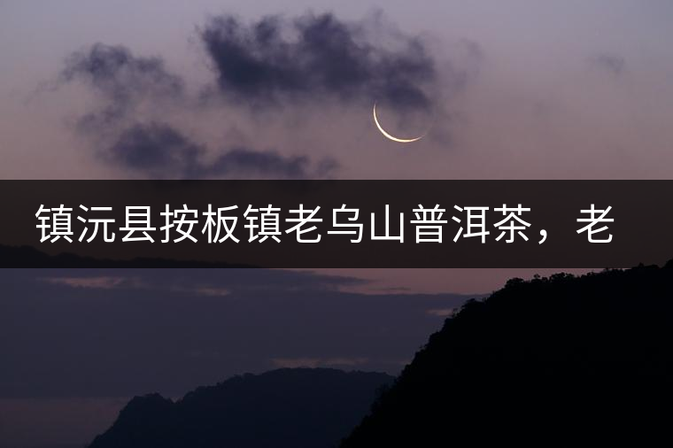 鎮(zhèn)沅縣按板鎮(zhèn)老烏山普洱茶，老烏山古樹茶口感特點