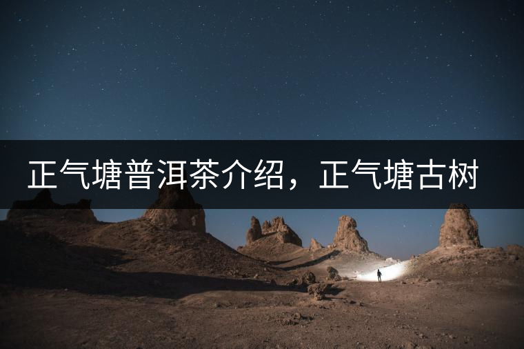 正氣塘普洱茶介紹，正氣塘古樹茶口感特點(diǎn)