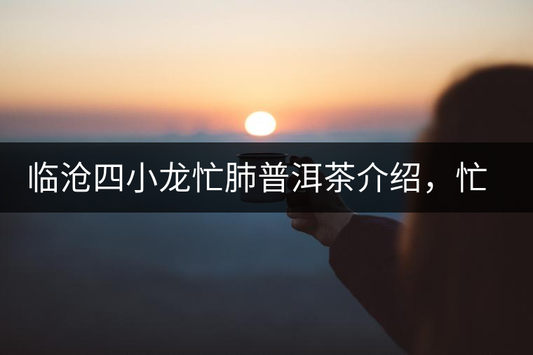 臨滄四小龍忙肺普洱茶介紹，忙肺古樹茶口感特點(diǎn)