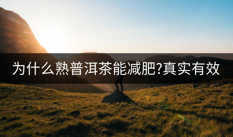 為什么熟普洱茶能減肥?真實(shí)有效嗎？