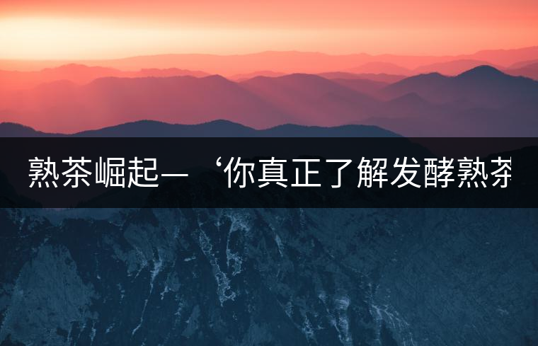 熟茶崛起—‘你真正了解發(fā)酵熟茶?’ 熟茶崛起—‘你真正了解發(fā)酵熟茶?’