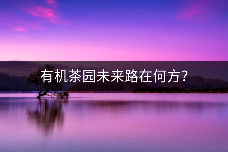 有機(jī)茶園未來(lái)路在何方？