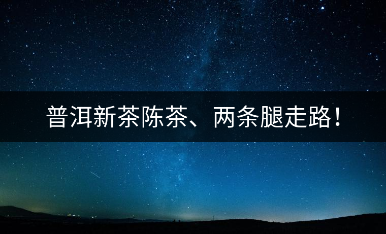 普洱新茶陳茶、兩條腿走路！