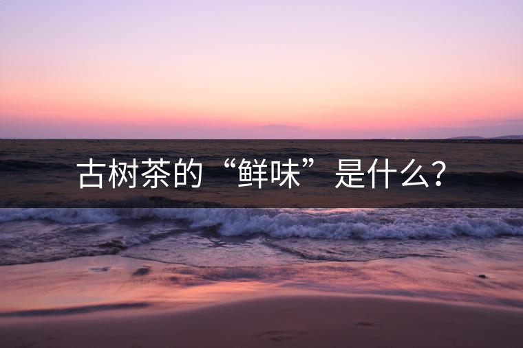 古樹(shù)茶的“鮮味”是什么？