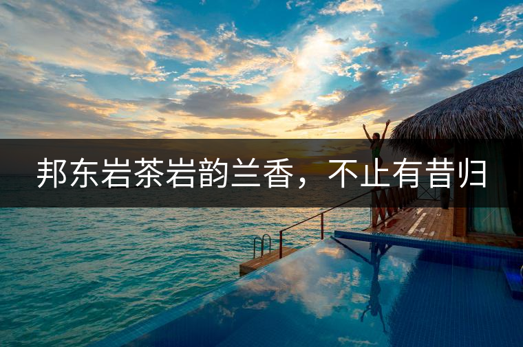 邦東巖茶巖韻蘭香，不止有昔歸