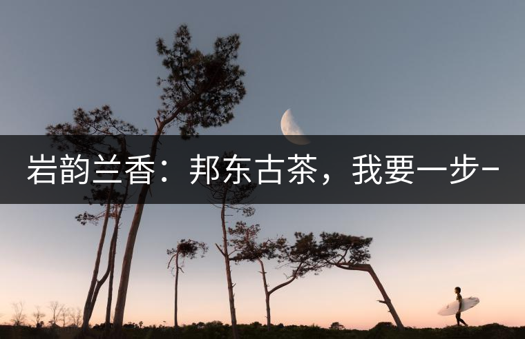 巖韻蘭香：邦東古茶，我要一步一步往上爬！