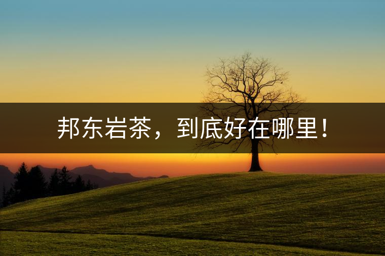 邦東巖茶，到底好在哪里！