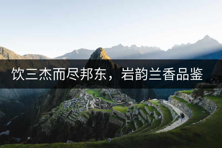 飲三杰而盡邦東，巖韻蘭香品鑒：生于山石上，韻味正當(dāng)