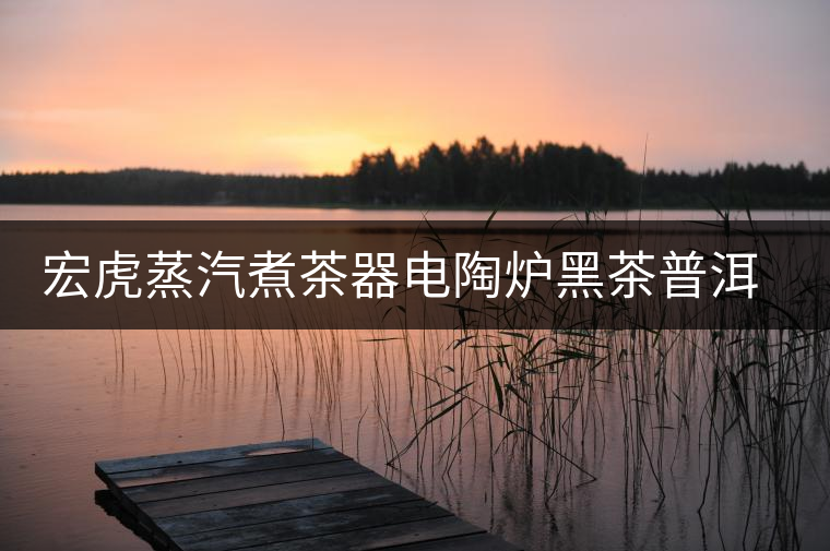宏虎蒸汽煮茶器電陶爐黑茶普洱茶錘紋玻璃側(cè)把煮茶壺全自動(dòng)燒水壺 宏虎蒸汽煮茶器電陶爐黑茶普洱茶錘紋玻璃側(cè)把煮茶壺全自動(dòng)燒水壺