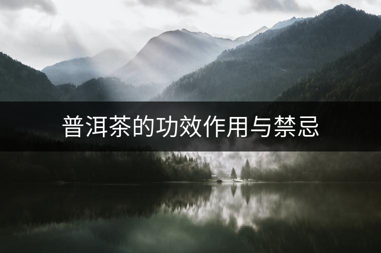 普洱茶的功效作用與禁忌 普洱茶的功效作用與禁忌