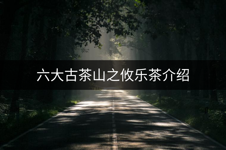 六大古茶山之攸樂茶介紹 六大古茶山之攸樂茶介紹