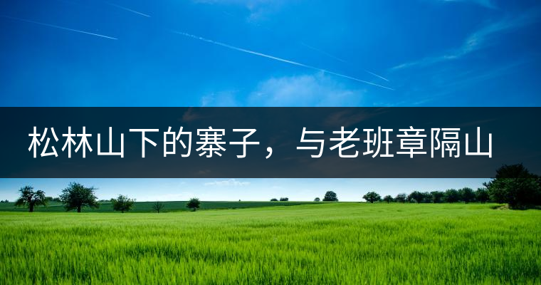 松林山下的寨子，與老班章隔山相望的廣別老寨
