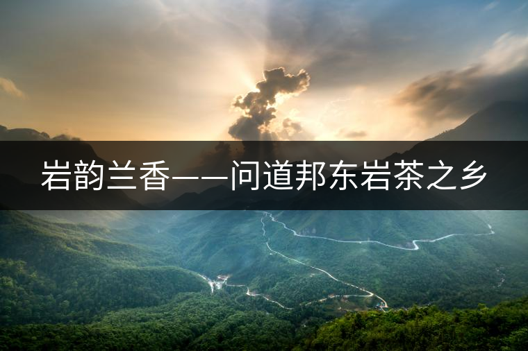 巖韻蘭香——問道邦東巖茶之鄉(xiāng)