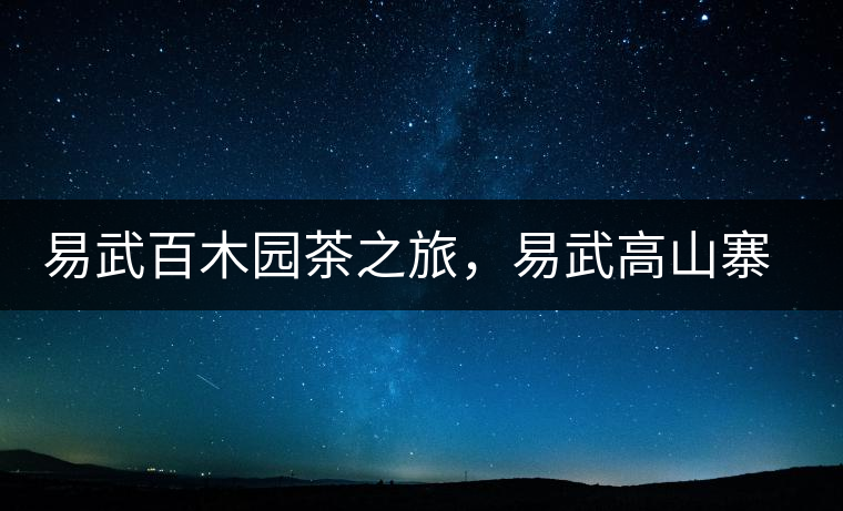 易武百木園茶之旅，易武高山寨古茶山