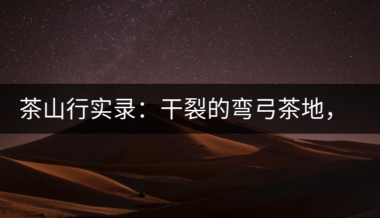 茶山行實(shí)錄：干裂的彎弓茶地，干旱減產(chǎn)已成定局