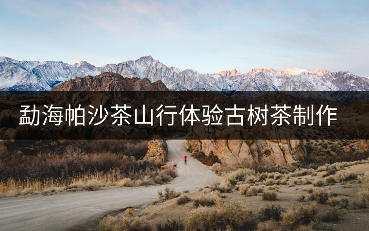 勐海帕沙茶山行體驗(yàn)古樹(shù)茶制作全過(guò)程