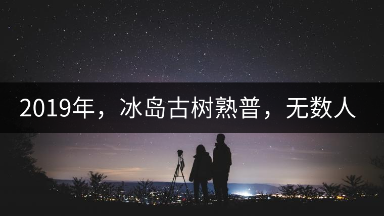 2019年，冰島古樹熟普，無數(shù)人在尋找