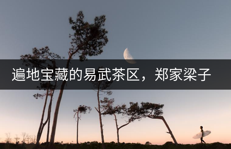 遍地寶藏的易武茶區(qū)，鄭家梁子荒田村古樹茶介紹