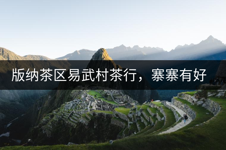 版納茶區(qū)易武村茶行，寨寨有好茶處處古茶香