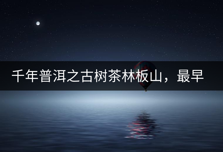 千年普洱之古樹(shù)茶林板山，最早的貢茶產(chǎn)地和皇家茶園
