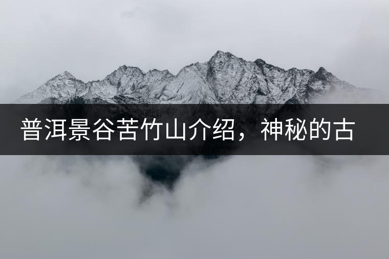 普洱景谷苦竹山介紹，神秘的古樹普洱茶原產(chǎn)地