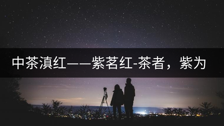 中茶滇紅——紫茗紅-茶者，紫為上