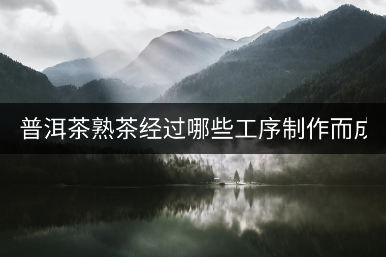 普洱茶熟茶經(jīng)過哪些工序制作而成？