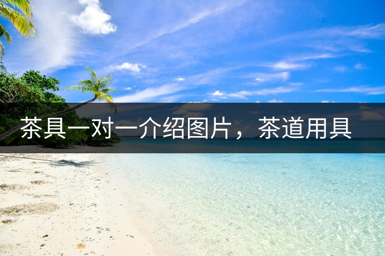 茶具一對(duì)一介紹圖片，茶道用具圖解