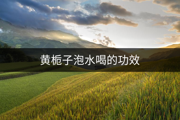 黃梔子泡水喝的功效 黃梔子泡水喝的功效