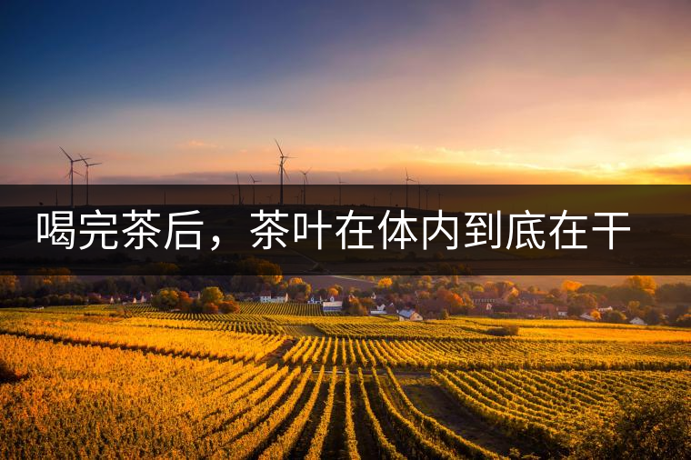 喝完茶后，茶葉在體內(nèi)到底在干嘛，游走的茶水