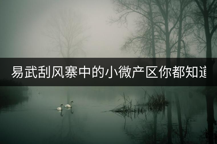 易武刮風(fēng)寨中的小微產(chǎn)區(qū)你都知道嗎？