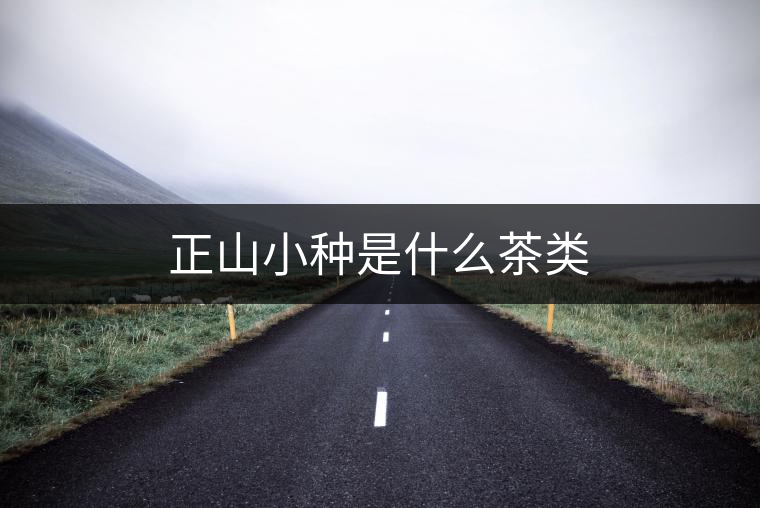 正山小種是什么茶類 正山小種是什么茶類