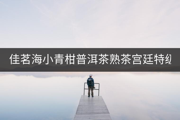 佳茗海小青柑普洱茶熟茶宮廷特級新會(huì)桔橘陳皮古樹普洱茶葉600g