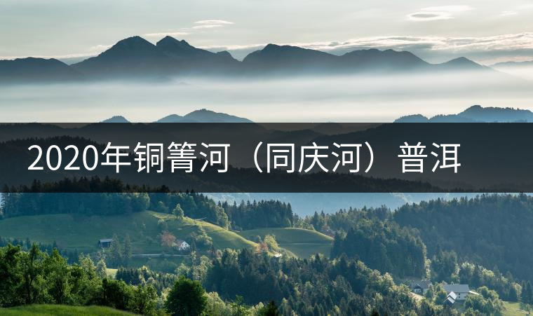 2020年銅箐河（同慶河）普洱茶，野味真難尋！-易武中聘號(hào)