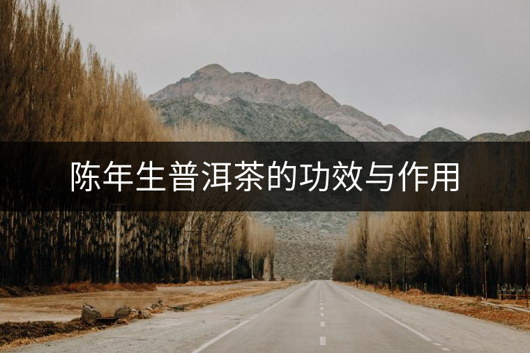 陳年生普洱茶的功效與作用 陳年生普洱茶的功效與作用