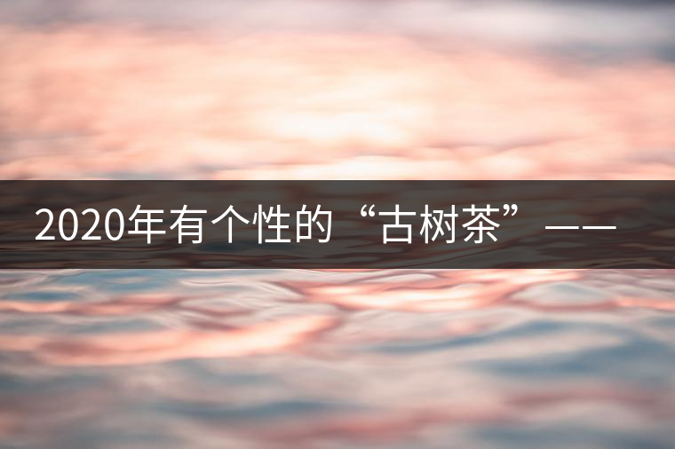 2020年有個(gè)性的“古樹茶”——一扇磨-易武中聘號 2020年有個(gè)性的“古樹茶”——一扇磨-易武中聘號