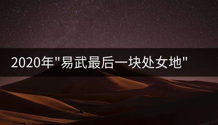 2020年 2020年