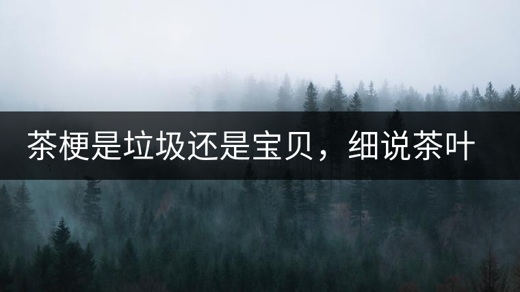 茶梗是垃圾還是寶貝，細(xì)說茶葉的那些梗