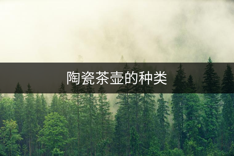 陶瓷茶壺的種類 陶瓷茶壺的種類