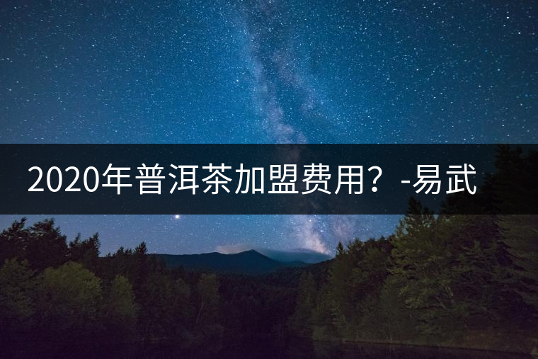 2020年普洱茶加盟費(fèi)用？-易武中聘號(hào)