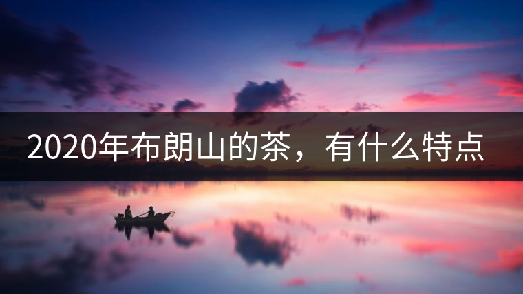 2020年布朗山的茶，有什么特點(diǎn)？-易武中聘號(hào)