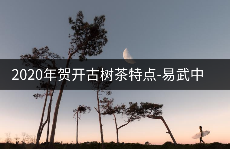 2020年賀開古樹茶特點(diǎn)-易武中聘號 2020年賀開古樹茶特點(diǎn)-易武中聘號