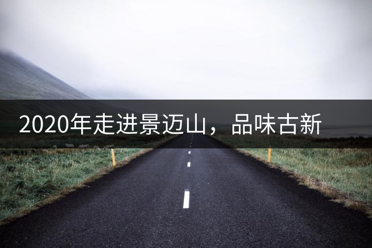 2020年走進(jìn)景邁山，品味古新六大茶山古樹(shù)茶之韻-易武中聘號(hào)