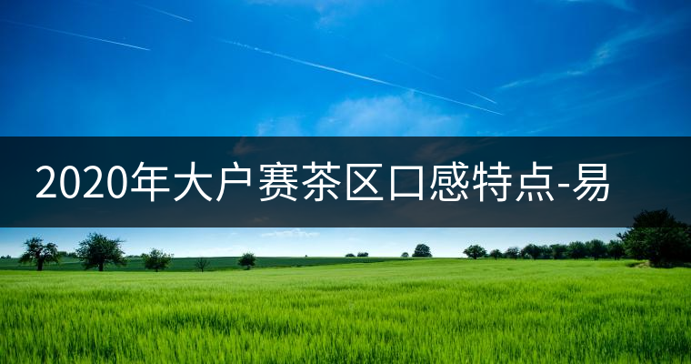 2020年大戶賽茶區(qū)口感特點(diǎn)-易武中聘號