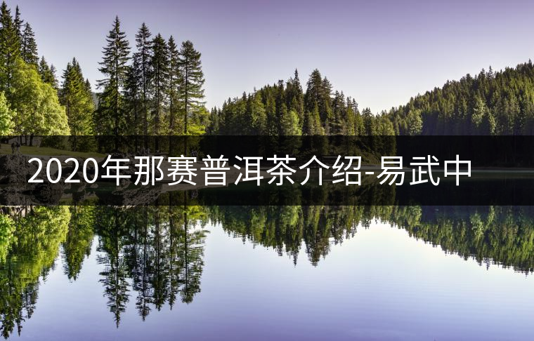 2020年那賽普洱茶介紹-易武中聘號 2020年那賽普洱茶介紹-易武中聘號