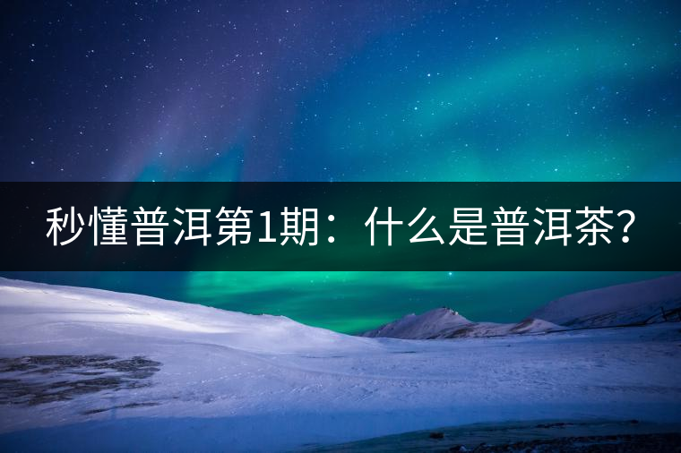 秒懂普洱第1期：什么是普洱茶？