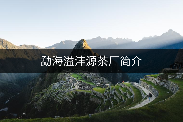 勐海溢灃源茶廠簡介 勐海溢灃源茶廠簡介