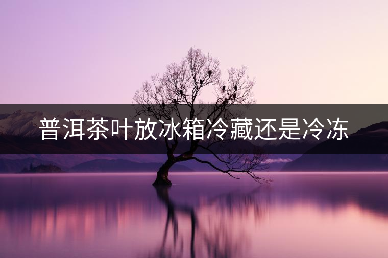 普洱茶葉放冰箱冷藏還是冷凍 普洱茶葉放冰箱冷藏還是冷凍