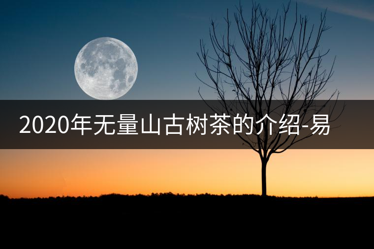 2020年無(wú)量山古樹(shù)茶的介紹-易武中聘號(hào) 2020年無(wú)量山古樹(shù)茶的介紹-易武中聘號(hào)